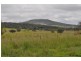 00 Rossvale Grazing, Pittsworth QLD 4356