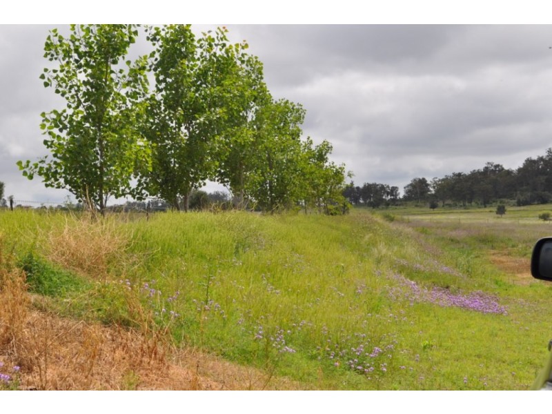 00 Rossvale Grazing, Pittsworth QLD 4356