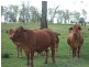 00 McDonalds Road, Goombungee QLD 4354