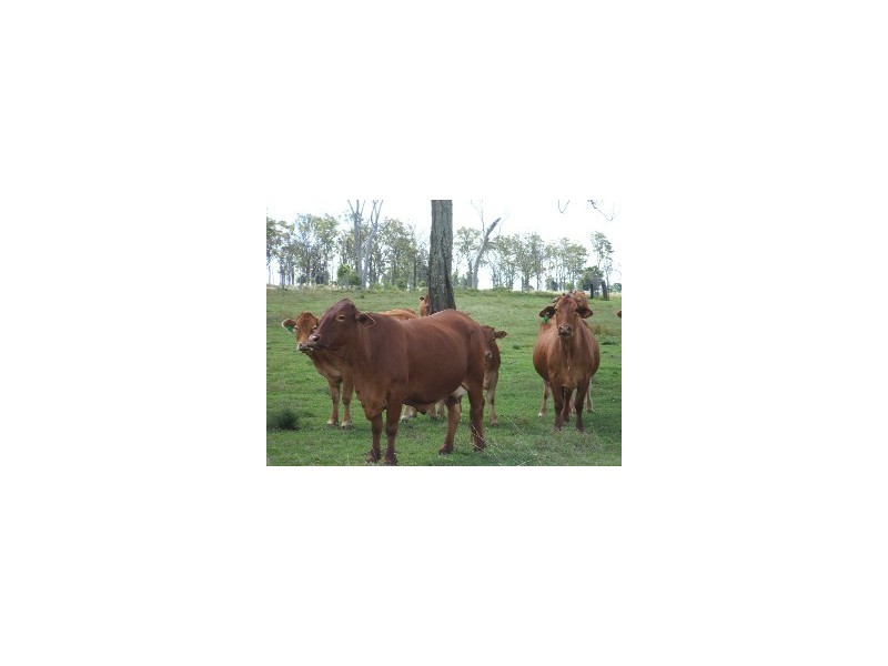 00 McDonalds Road, Goombungee QLD 4354