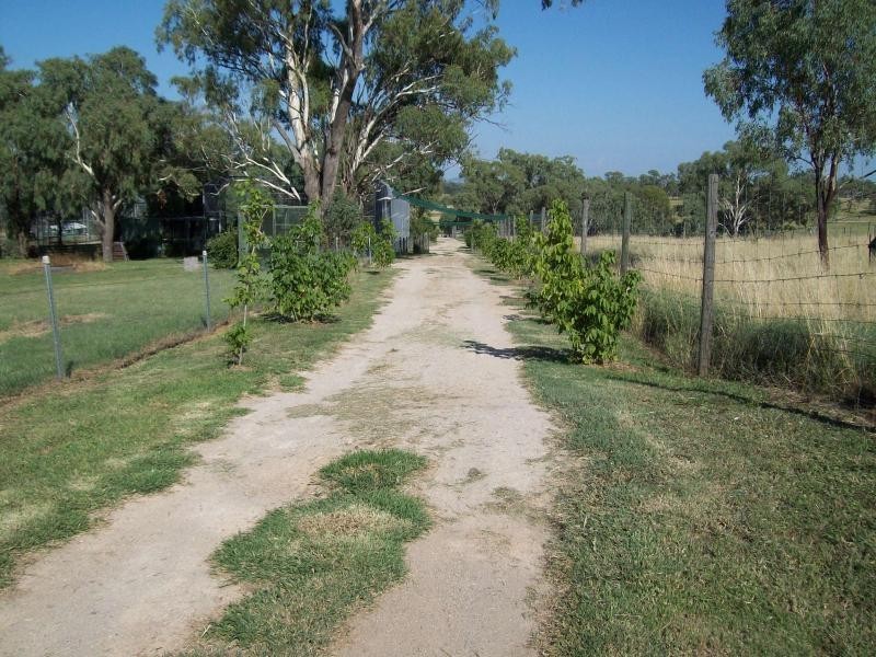 21 Baines Road PILTON, Clifton QLD 4361