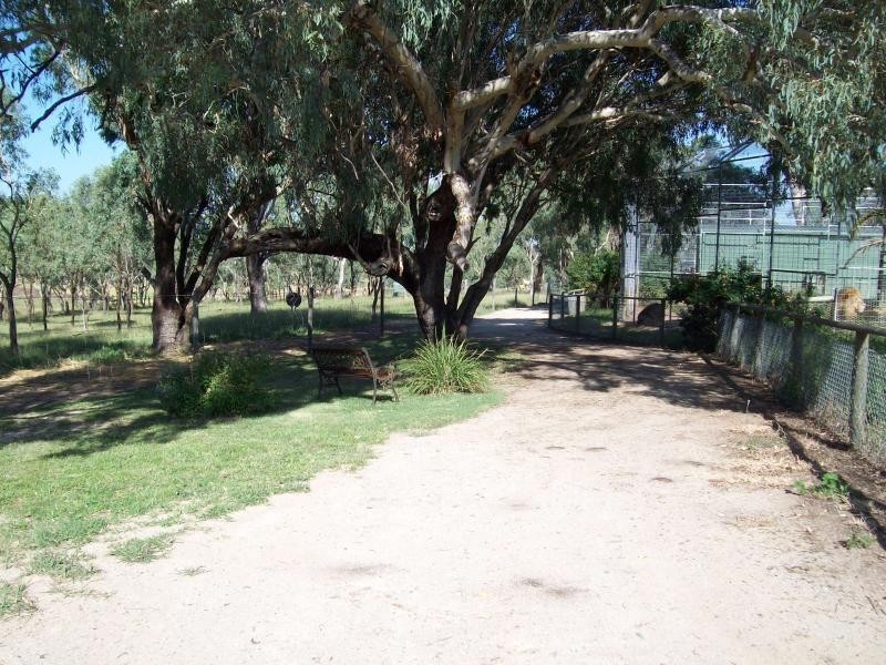 21 Baines Road PILTON, Clifton QLD 4361