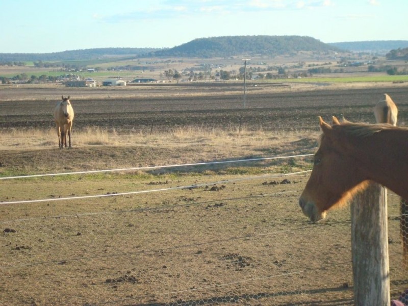 353 Allen Road, Greenmount East QLD 4359