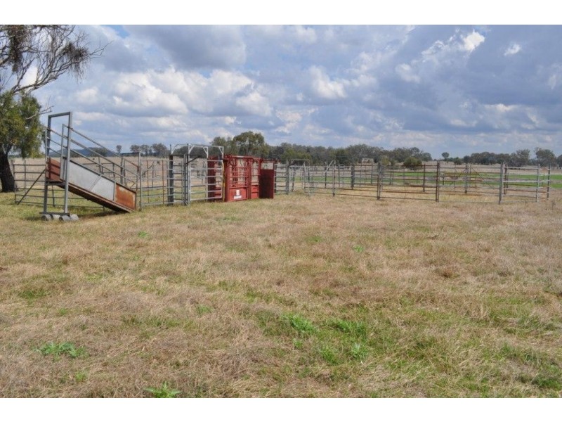 Booramugga  29 Booramugga Road, Mount Tyson QLD 4356