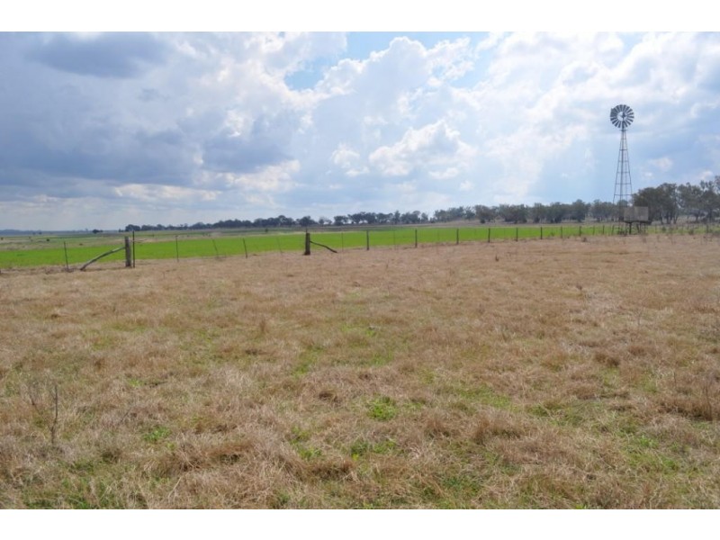 Booramugga  29 Booramugga Road, Mount Tyson QLD 4356