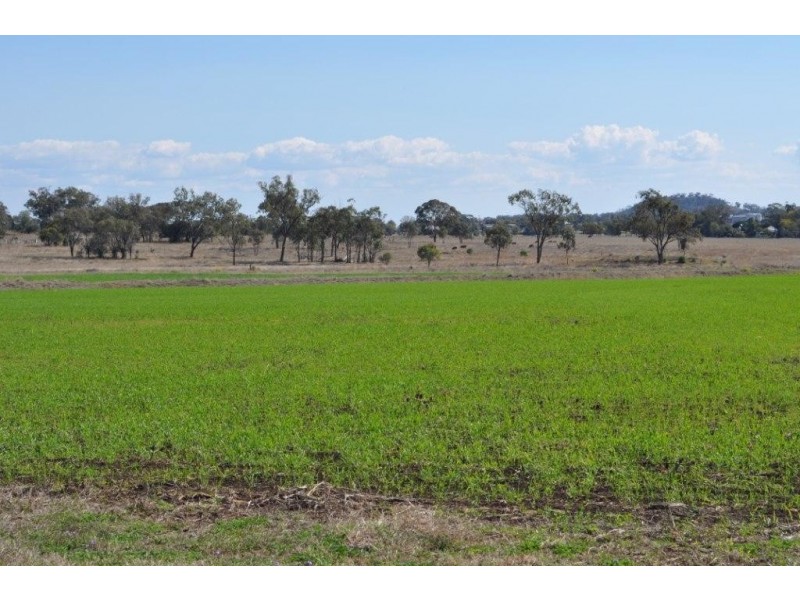 Booramugga  29 Booramugga Road, Mount Tyson QLD 4356