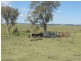 Greenmount QLD 4225