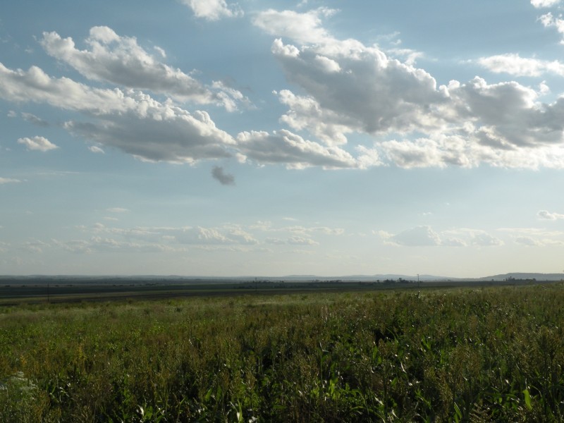 Greenmount East QLD 4359