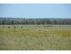 Punchs Creek QLD 4357
