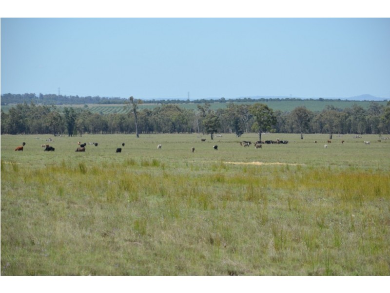 Punchs Creek QLD 4357
