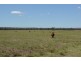 Punchs Creek QLD 4357