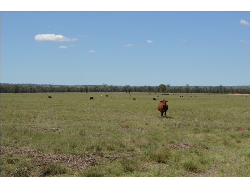 Punchs Creek QLD 4357