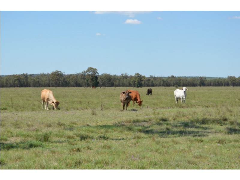 Punchs Creek QLD 4357