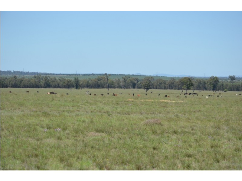 Punchs Creek QLD 4357