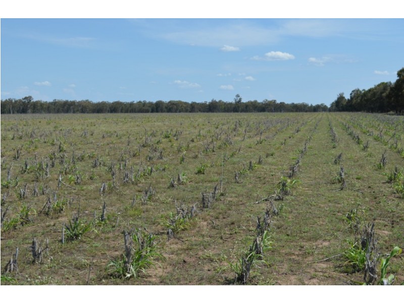 Punchs Creek QLD 4357