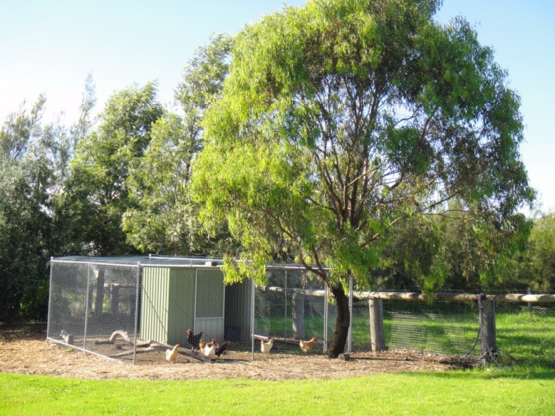 54 Tristania Street, Drayton QLD 4350