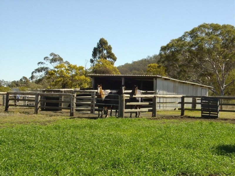 54 Tristania Street, Drayton QLD 4350