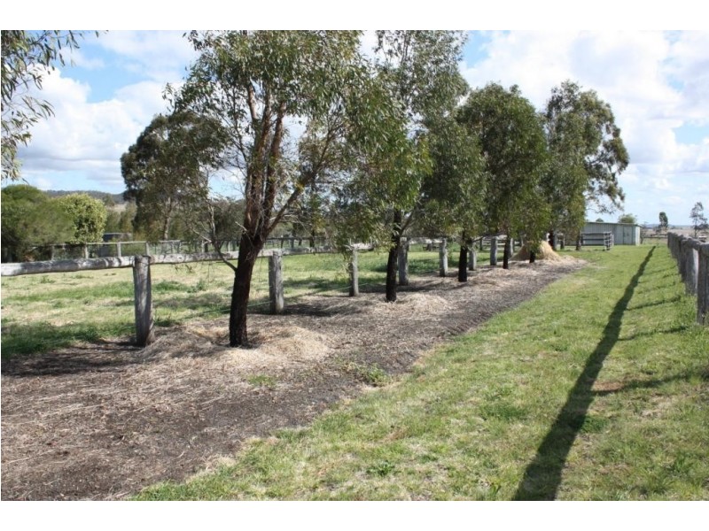 54 Tristania Street, Drayton QLD 4350