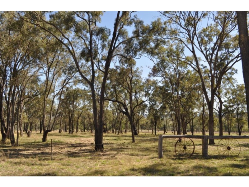 “Manyatta” 50 Brennan Road, Ryeford QLD 4361