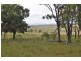 Nobby QLD 4360