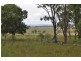 Nobby QLD 4360