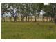 Nobby QLD 4360