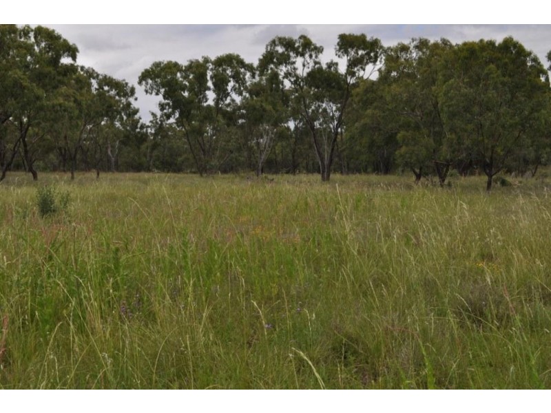 Nobby QLD 4360