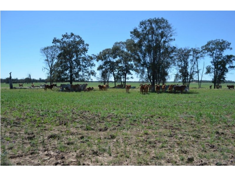 Warfields Dunmore Road, Millmerran QLD 4357