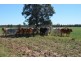 Warfields Dunmore Road, Millmerran QLD 4357