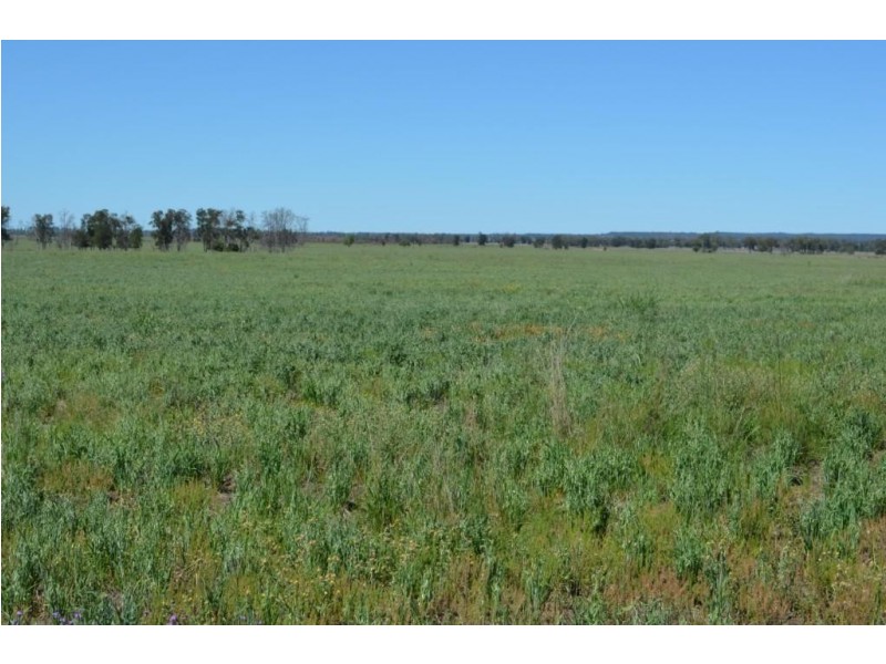 Warfields Dunmore Road, Millmerran QLD 4357