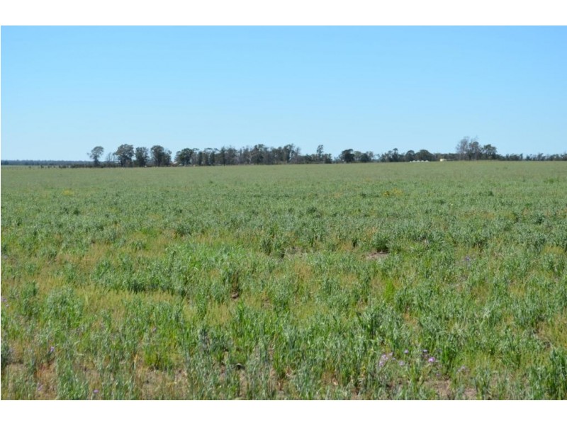 Warfields Dunmore Road, Millmerran QLD 4357