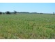 Warfields Dunmore Road, Millmerran QLD 4357