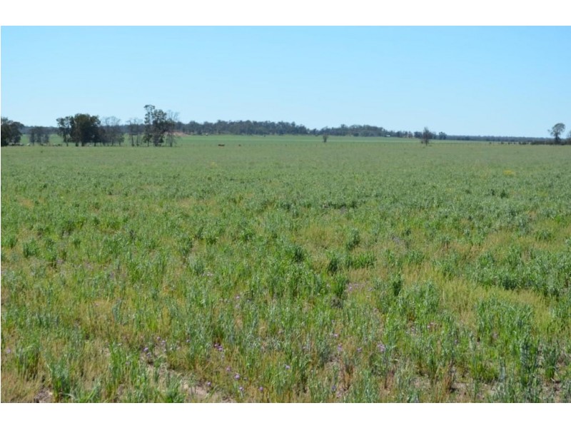 Warfields Dunmore Road, Millmerran QLD 4357