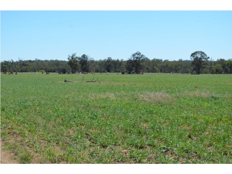 Warfields Dunmore Road, Millmerran QLD 4357