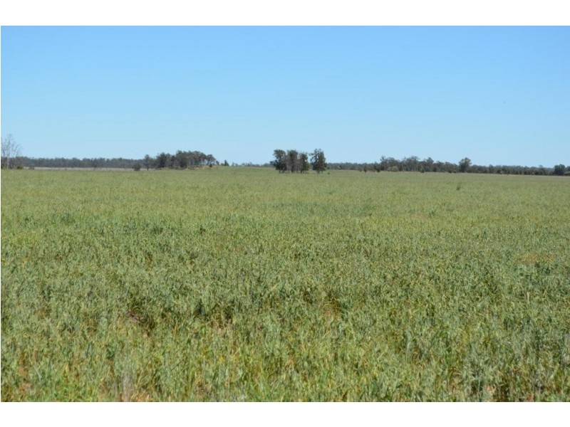 Warfields Dunmore Road, Millmerran QLD 4357