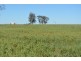 Warfields Dunmore Road, Millmerran QLD 4357
