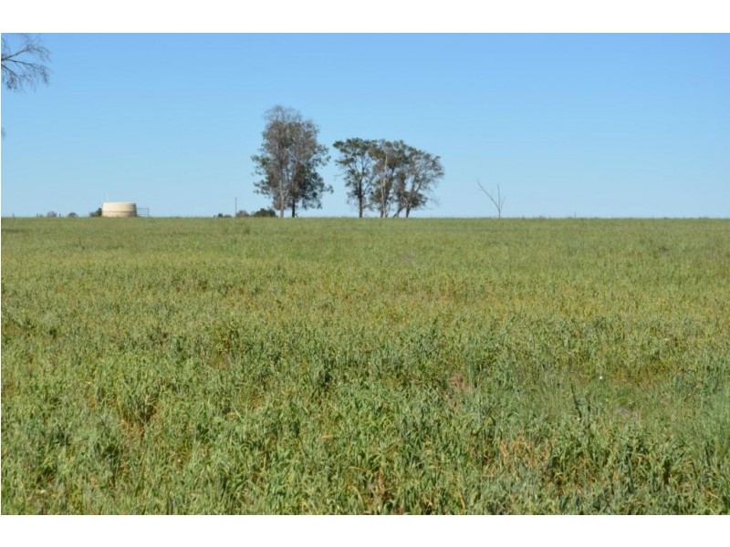 Warfields Dunmore Road, Millmerran QLD 4357