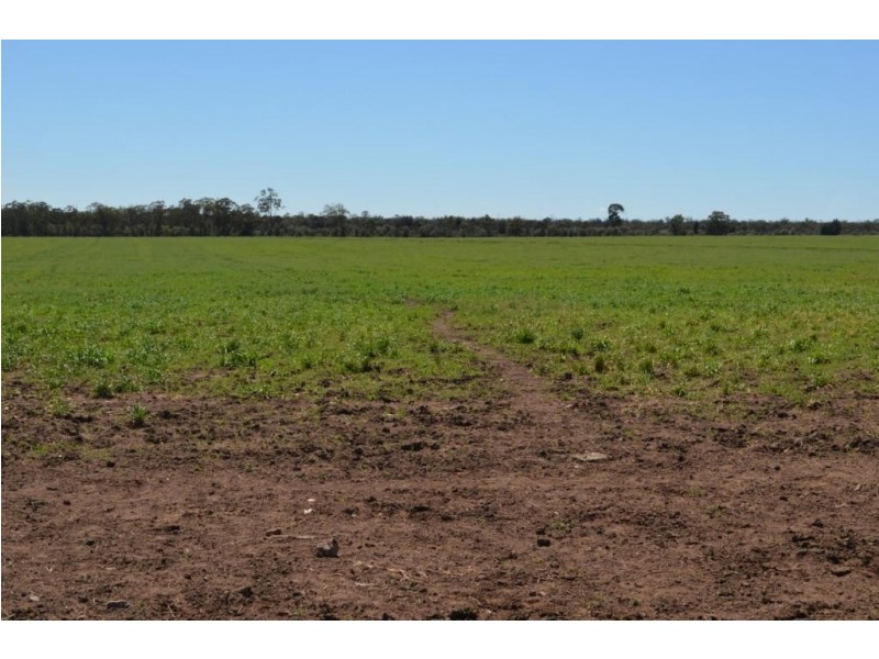 Warfields Dunmore Road, Millmerran QLD 4357