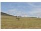 3085 Budgee Road, Greenmount QLD 4359