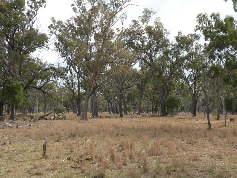 Clifton QLD 4361