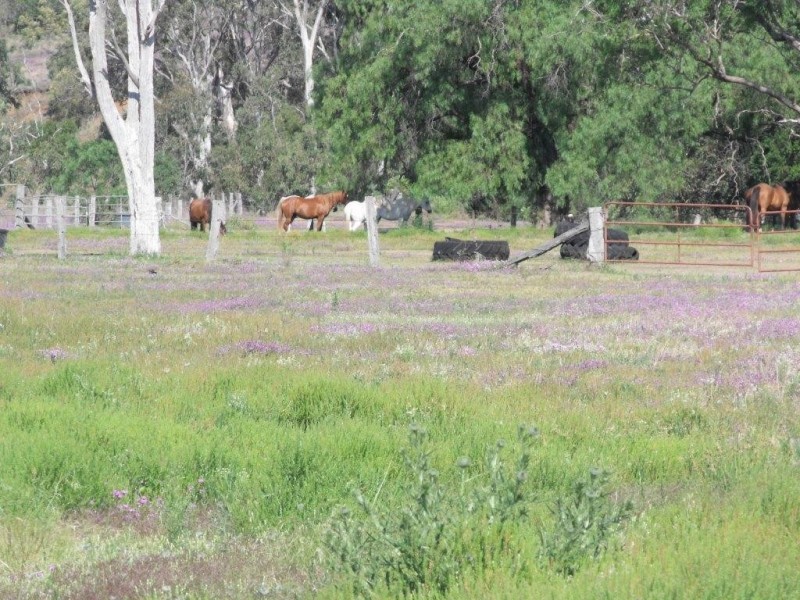 Lot 12 Douglas-Plainby Road, Goombungee QLD 4354