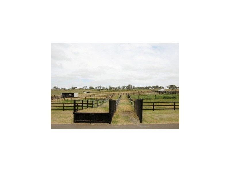Markham Stud Wegener Road, Westbrook QLD 4350