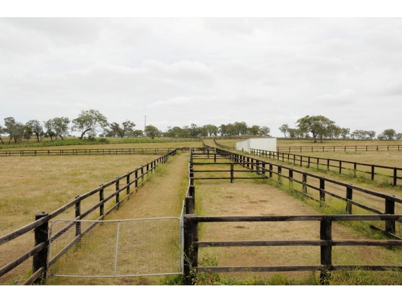 Markham Stud Wegener Road, Westbrook QLD 4350