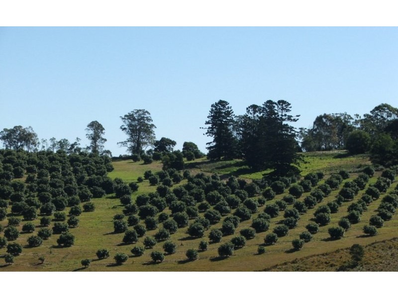 80 Christy Road, Ravensbourne QLD 4352