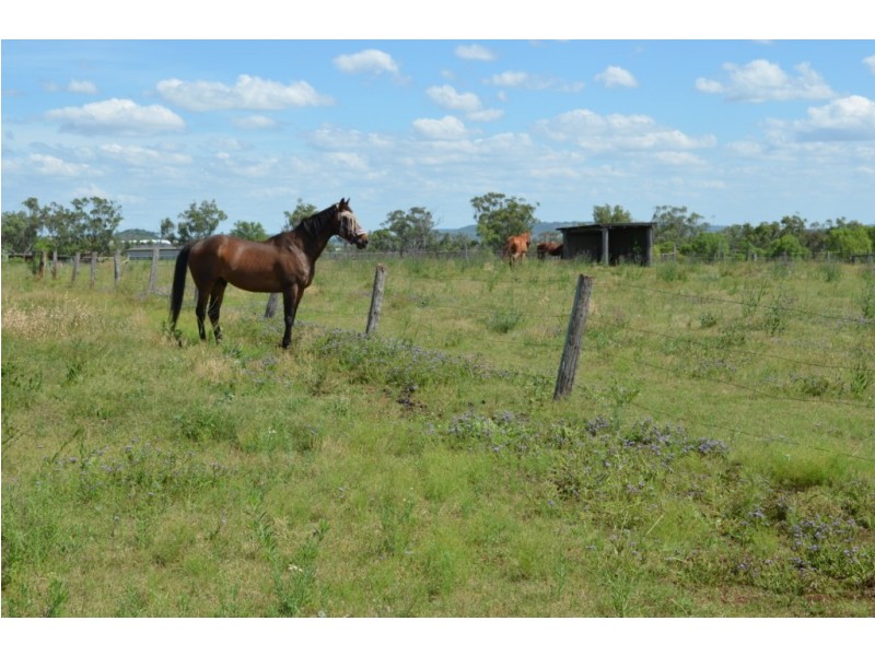 43 Shepperd Road, Vale View QLD 4352
