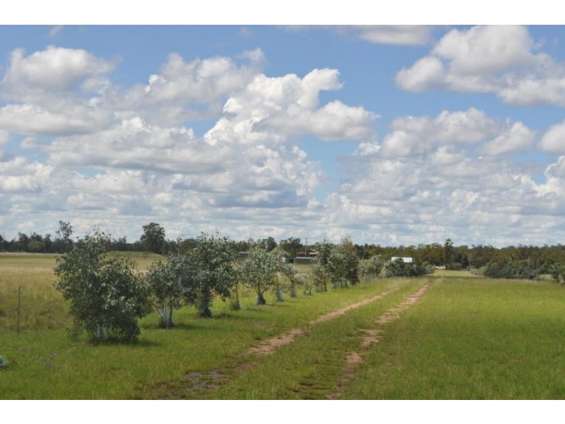 51  Mitchell Rd, Millmerran QLD 4357