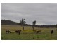 334 Jimna Springs Road, Southbrook QLD 4363