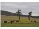 334 Jimna Springs Road, Southbrook QLD 4363