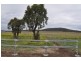 334 Jimna Springs Road, Southbrook QLD 4363
