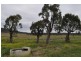 334 Jimna Springs Road, Southbrook QLD 4363
